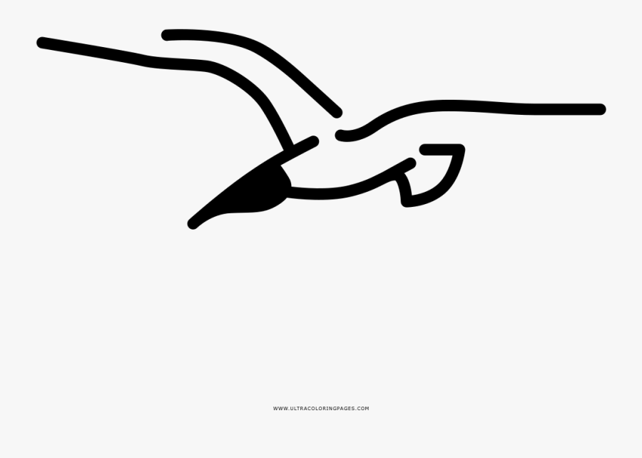 Seagull Coloring Page - Gaviota Dibujo, Transparent Clipart