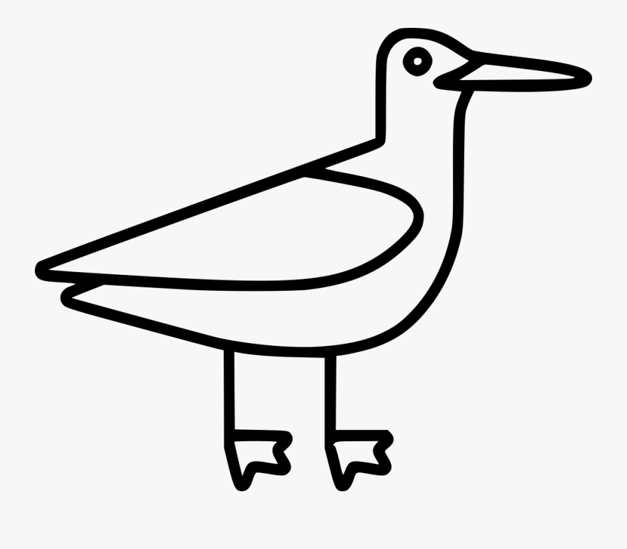Seagull - Woodpecker, Transparent Clipart