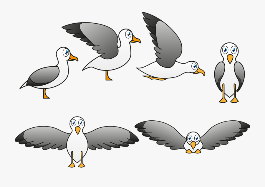 Seagull, Ave, Fly, Caricature, Child, Pen, Fauna - Cartoon, Transparent Clipart