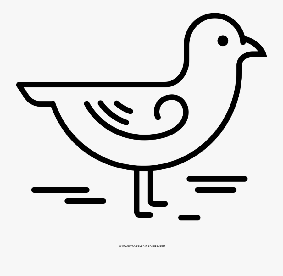 Seagull Coloring Page - Line Art, Transparent Clipart