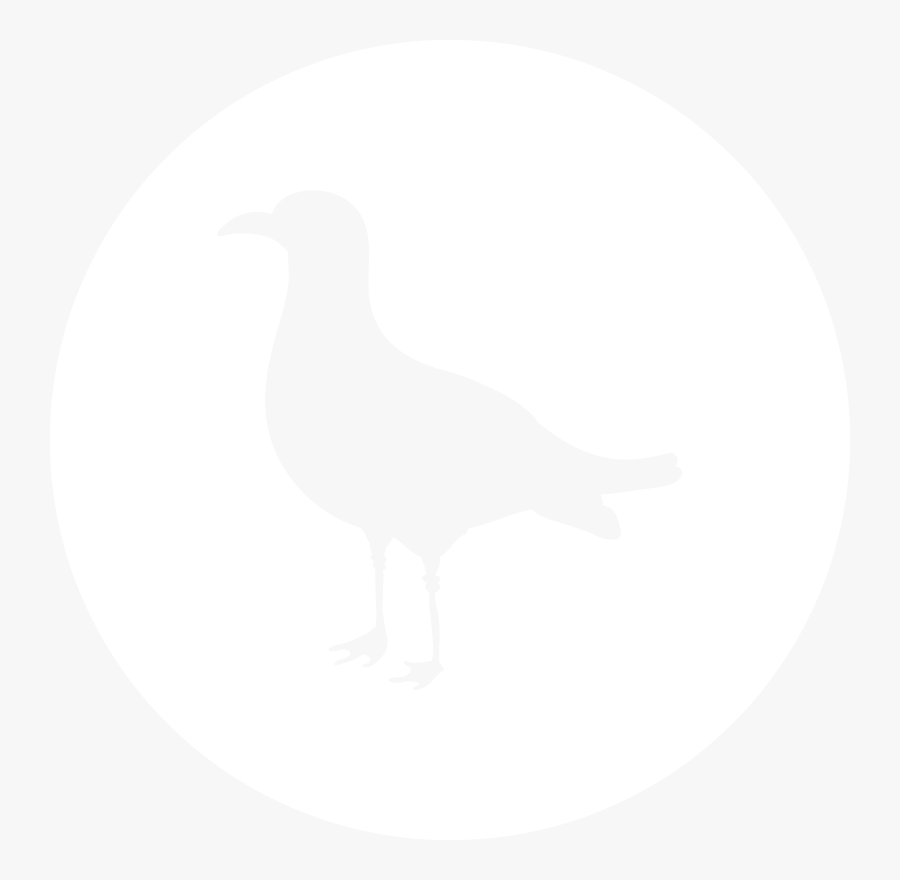 Transparent Seagull Png - Crow, Transparent Clipart