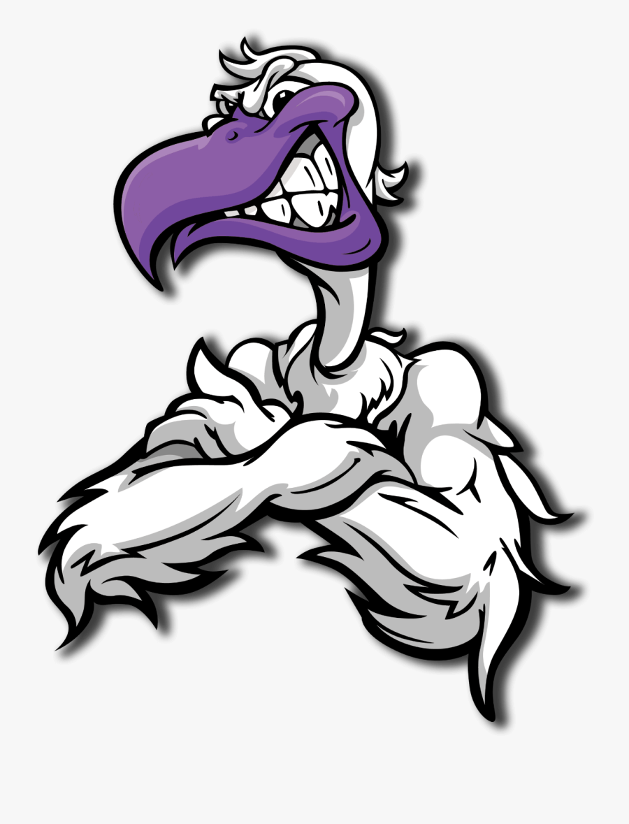 Seagull Uav - Port Allen Pelican, Transparent Clipart