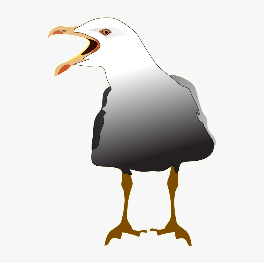 Great Black-backed Gull, Transparent Clipart