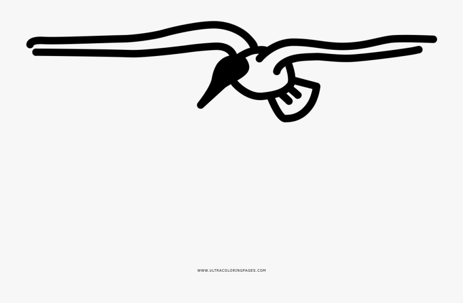 Seagull Coloring Page, Transparent Clipart