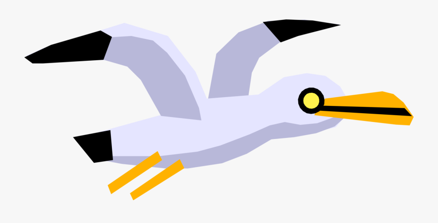 Vector Illustration Of Cartoon Feathered Vertebrate - Cartoon Seabird, Transparent Clipart