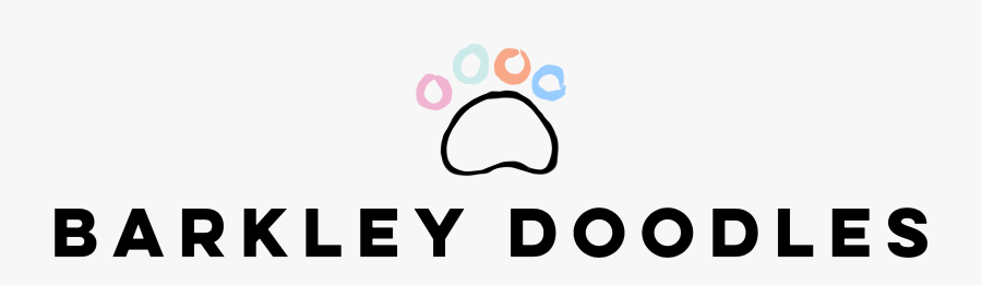 Circle, Transparent Clipart