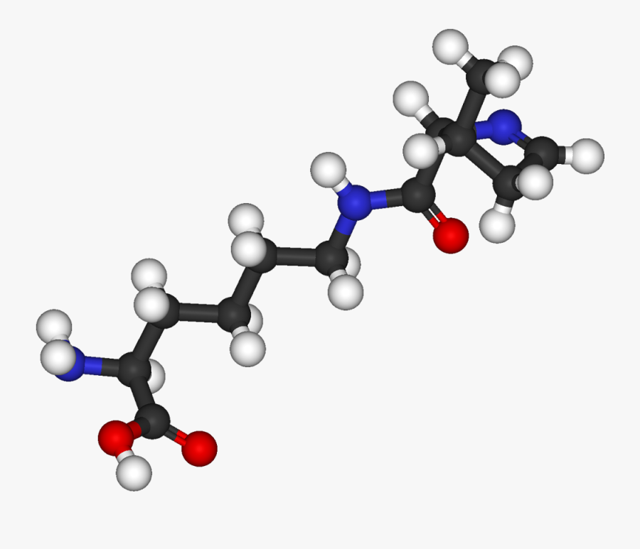 The Amino Acid Pyrrolysine - Pyrrolysine, Transparent Clipart