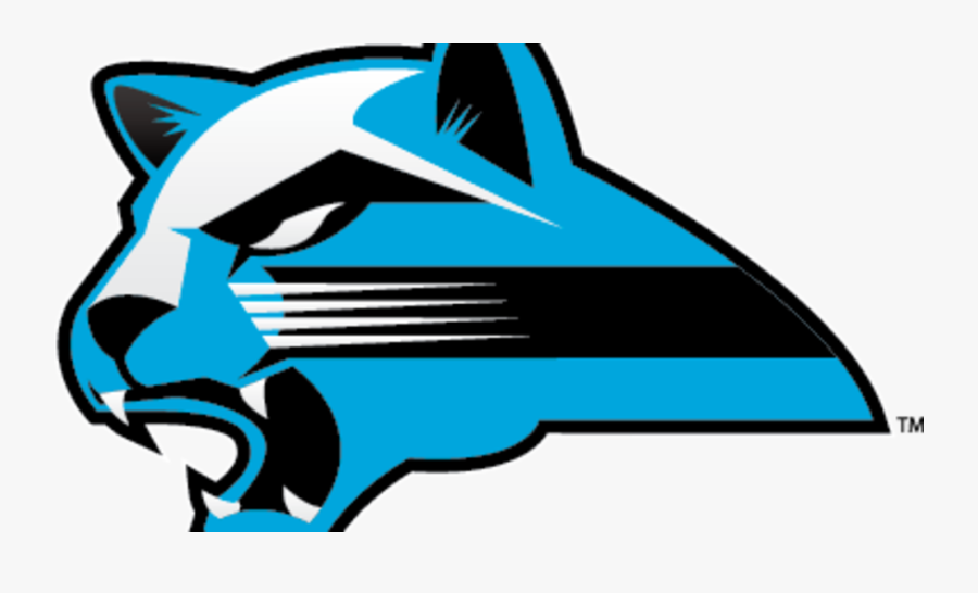 Kalamazoo Valley Community College Cougars, Transparent Clipart