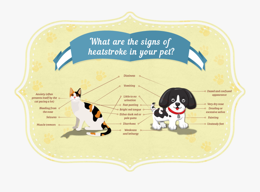 What Are The Signs Of Heatstroke In Your Pet - Heat Stroke In Cats And Dogs, Transparent Clipart