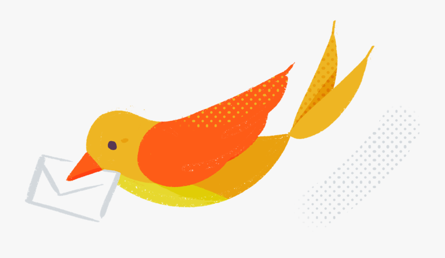 Old World Flycatcher, Transparent Clipart