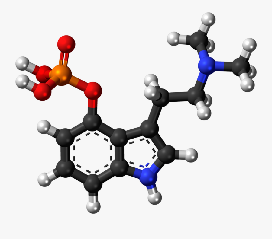 Psilocybin Model, Transparent Clipart