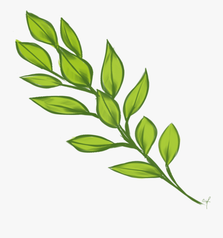 Transparent Laurel Branch Png, Transparent Clipart
