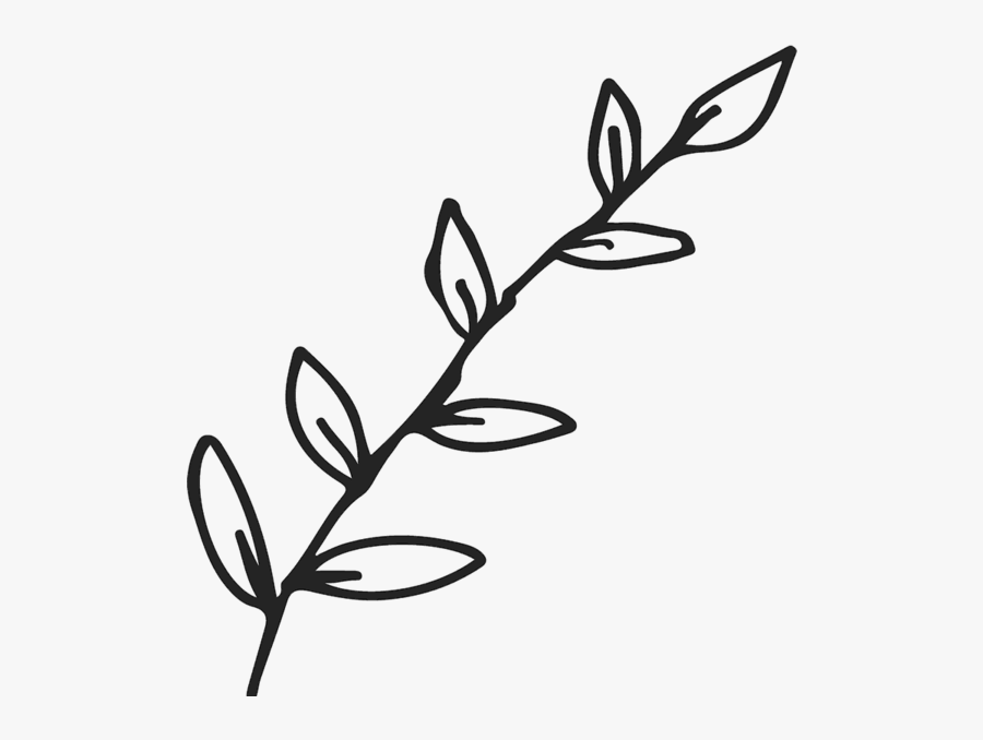 Transparent Leaf Clip Art Black And White, Transparent Clipart