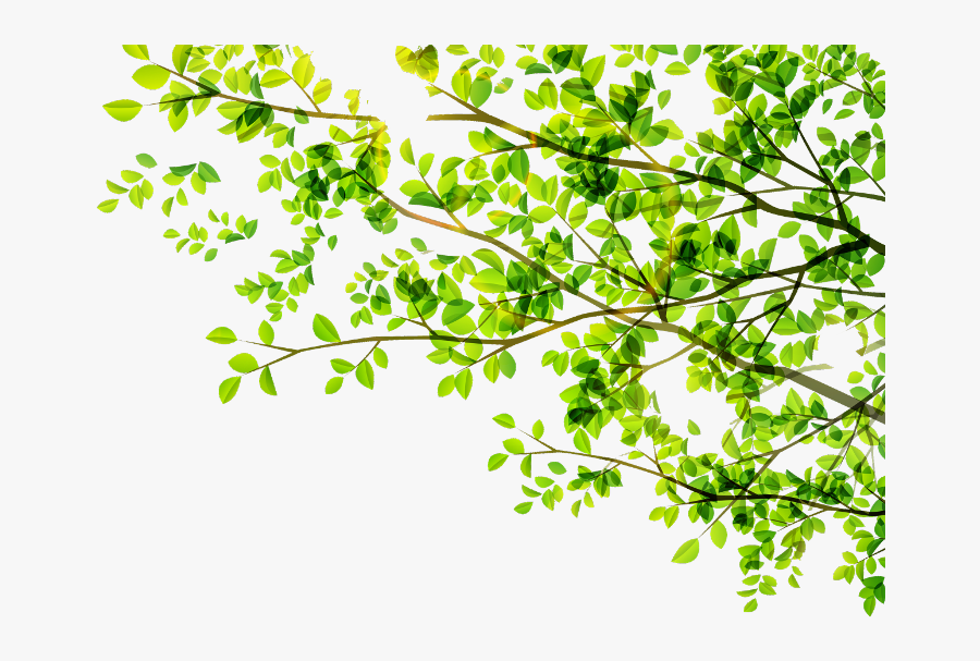 #leaves #leaf #green #tree #vector #freetoedit - Green Tree Vector Png, Transparent Clipart