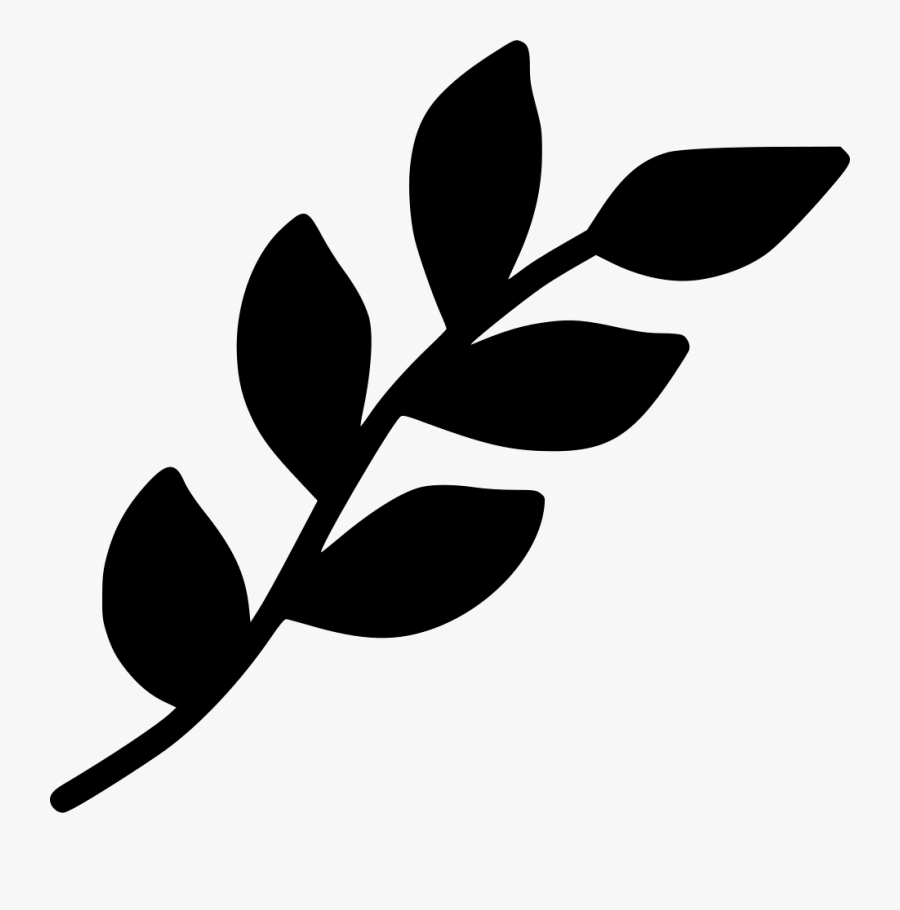 Branch Leaf Leaves Spring Decoration Nature Plant - Free Flower Leaf Svg, Transparent Clipart