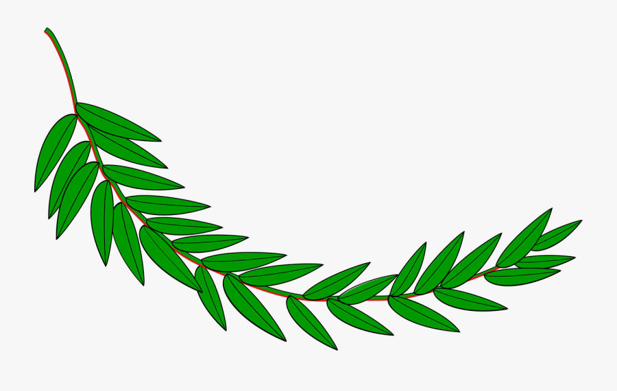 Folha De Louro Png, Transparent Clipart