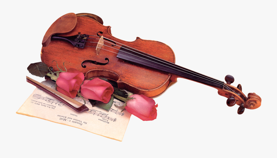 Beaux Instruments De Musique, Transparent Clipart