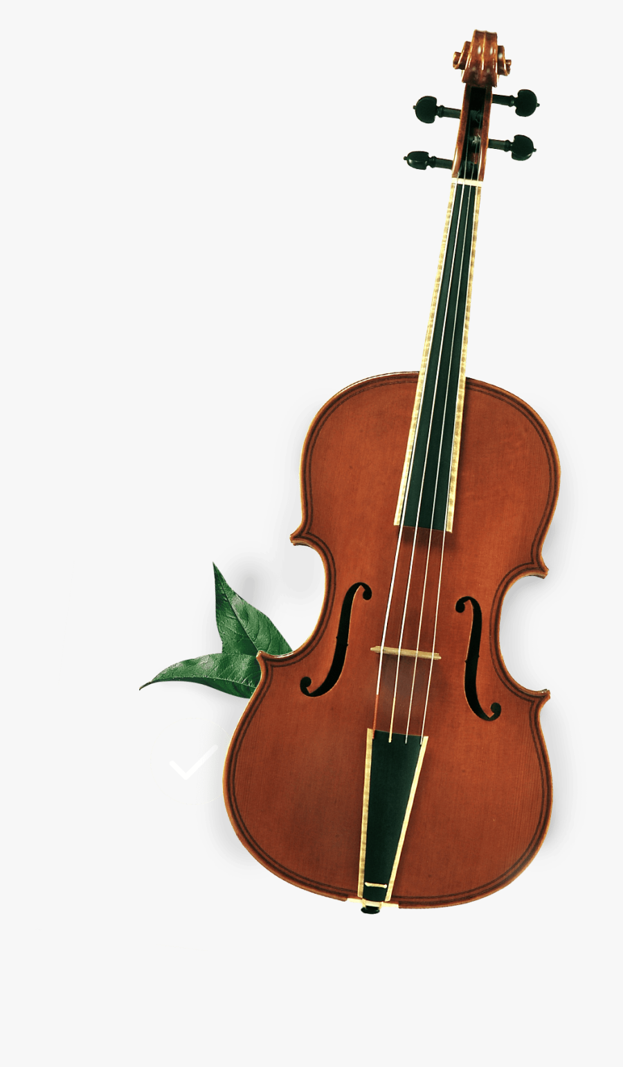 Transparent Cat And The Fiddle Clipart - Viola, Transparent Clipart