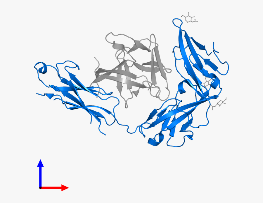 Graphic Design, Transparent Clipart