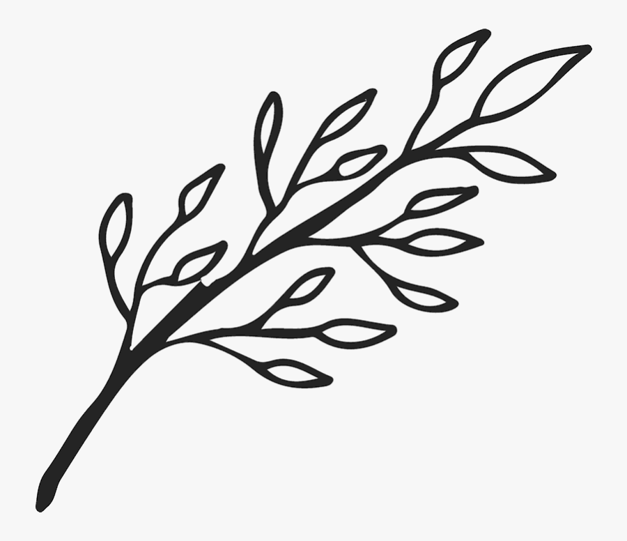 Transparent Rose Outline Png - Black And White Leaf Branch Clip Art, Transparent Clipart