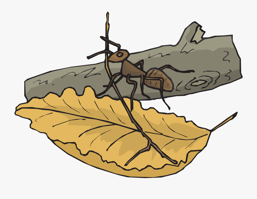 Ant On A Log Clipart, Transparent Clipart