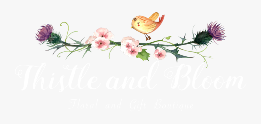 Thistle And Bloom - Garden Roses, Transparent Clipart