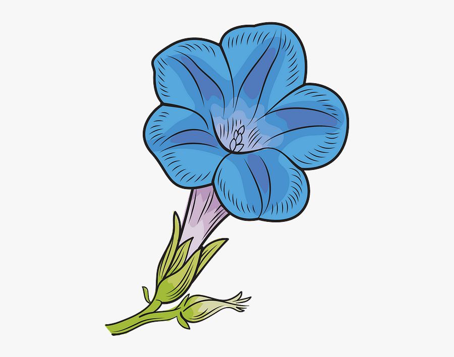Hawaiian Hibiscus, Transparent Clipart