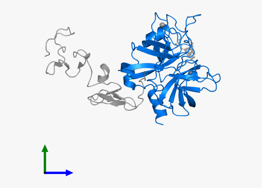 Graphic Design, Transparent Clipart