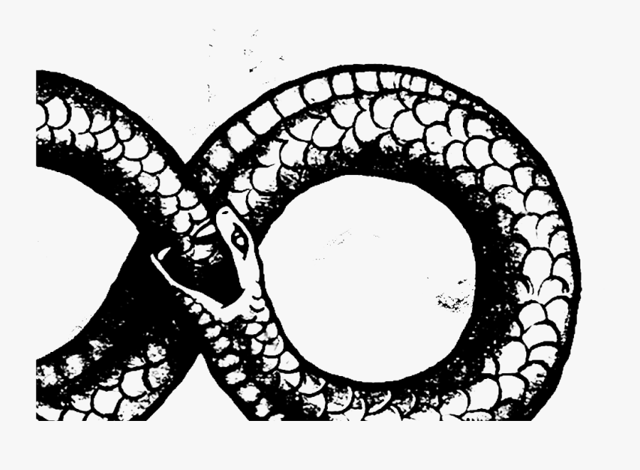 Ouroboros Transparent Png Crop - Infinity Serpent, Transparent Clipart