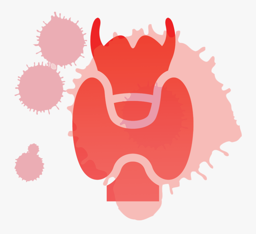 A Stylized Depiction Of The Larynx - Illustration, Transparent Clipart