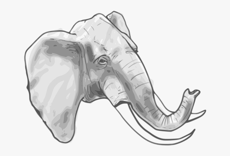 Elephant Head Coloring Page, Transparent Clipart