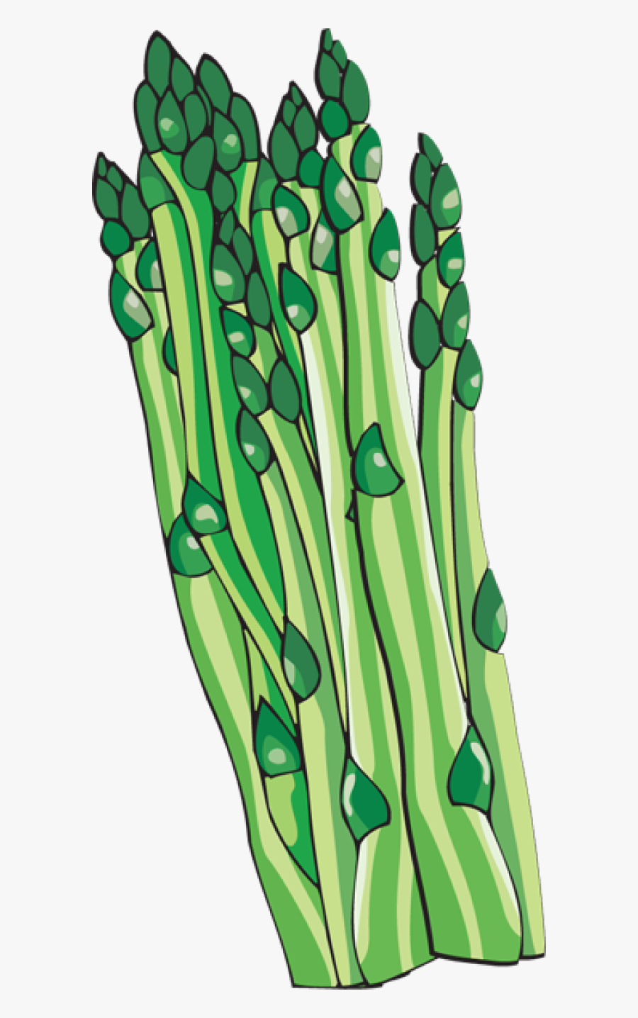 Asparagus Clip Art - Asparagus Clipart Png, Transparent Clipart