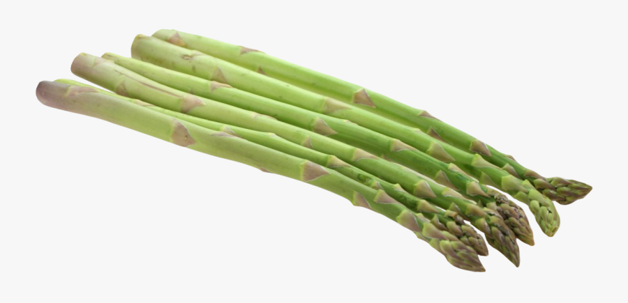 Clipart Asparagus Png, Transparent Clipart