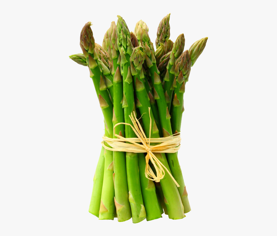 Asparagus Transparent Background, Transparent Clipart