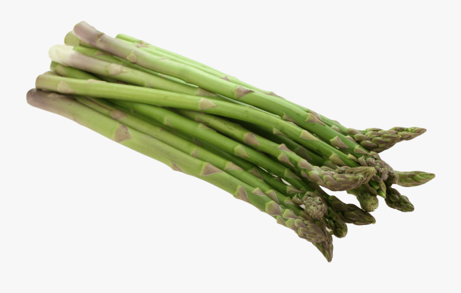 Asparagus - Asparagus Png, Transparent Clipart