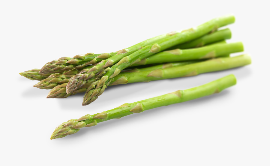Asparagus Png, Transparent Clipart