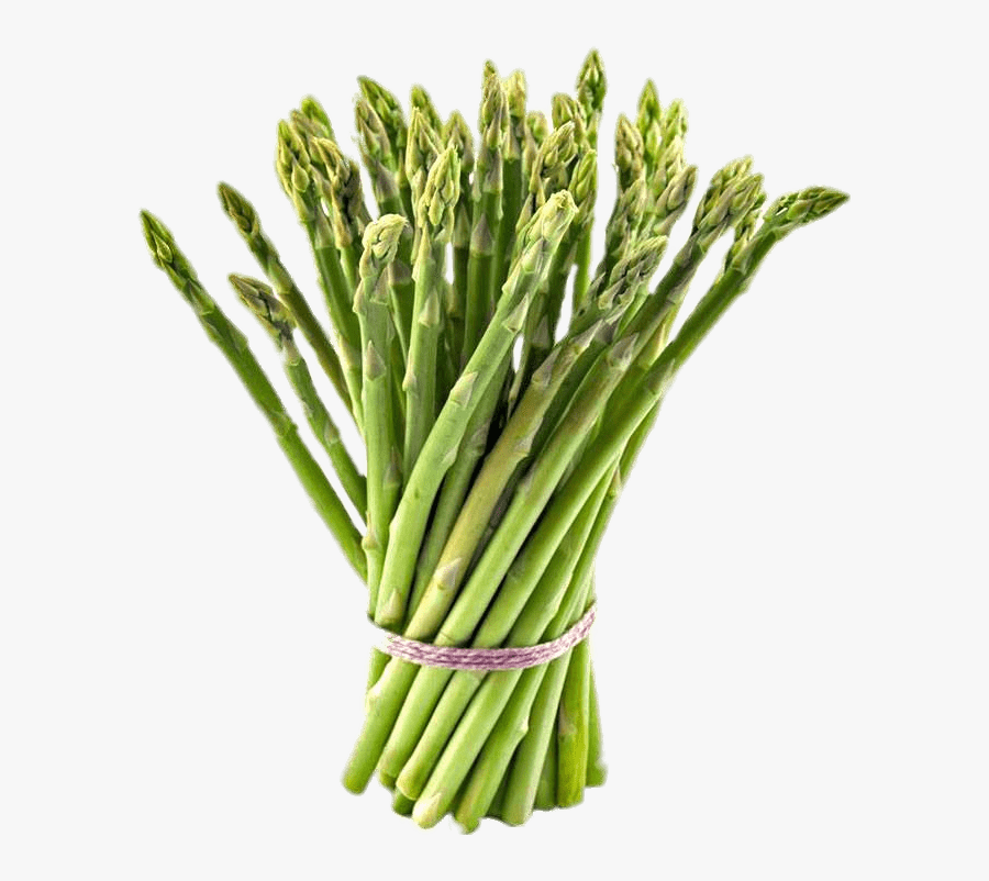 Tied Bundle Of Asparagus - Asparagus Vegetable, Transparent Clipart