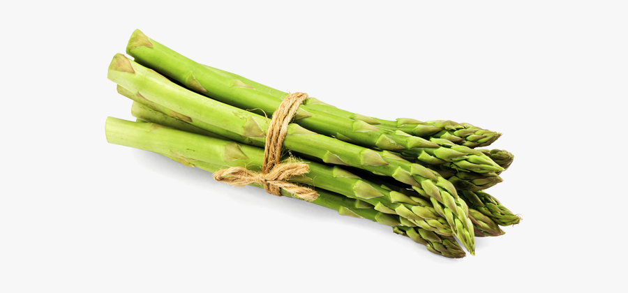 Asparagus Png File - Vegetable Asparagus, Transparent Clipart