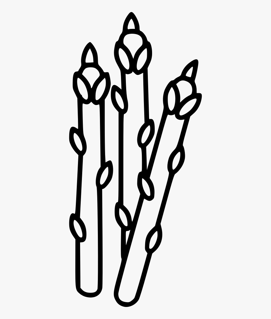 Asparagus, Transparent Clipart