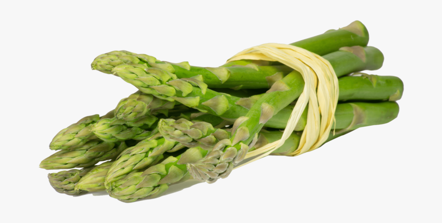 Asperges Transparent Png, Transparent Clipart