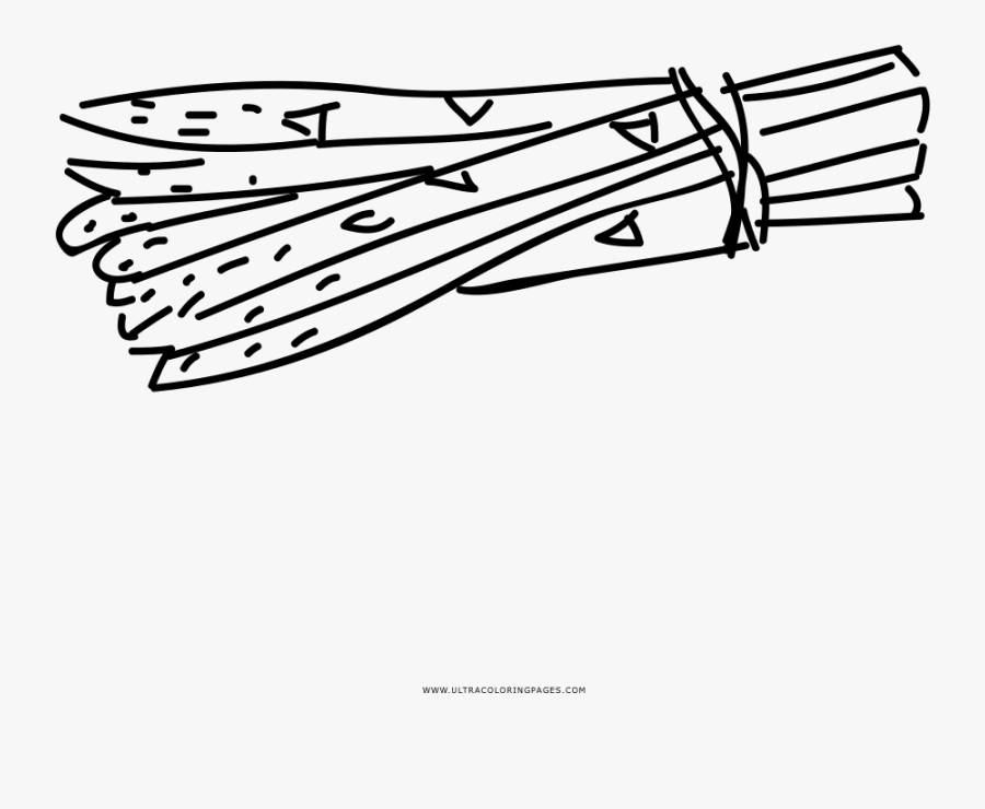 Hand Drawn Asparagus Coloring Page - Line Art, Transparent Clipart