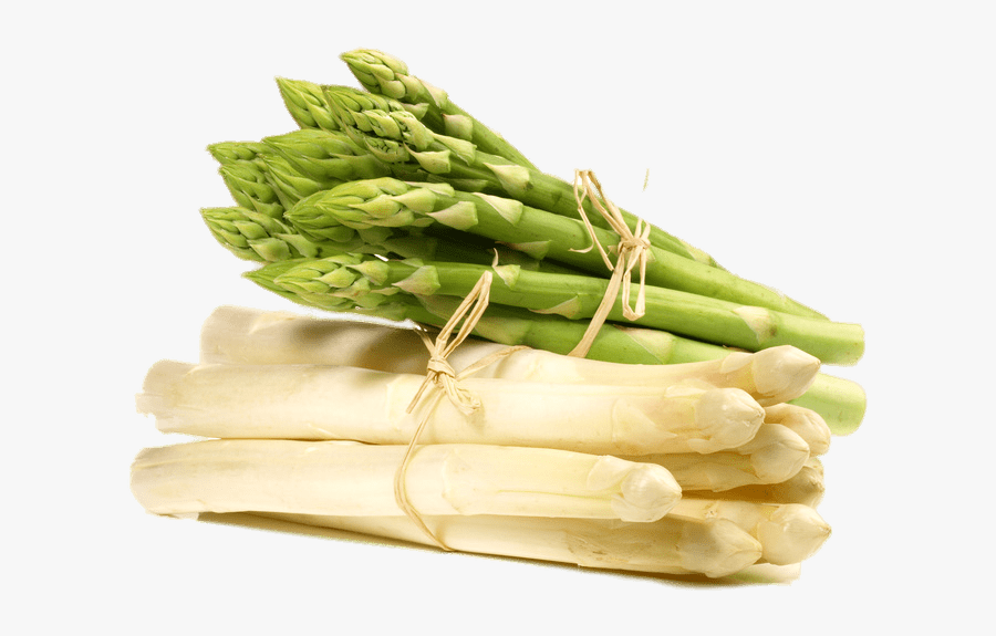 White And Green Asparagus - Asparagus Green And White, Transparent Clipart