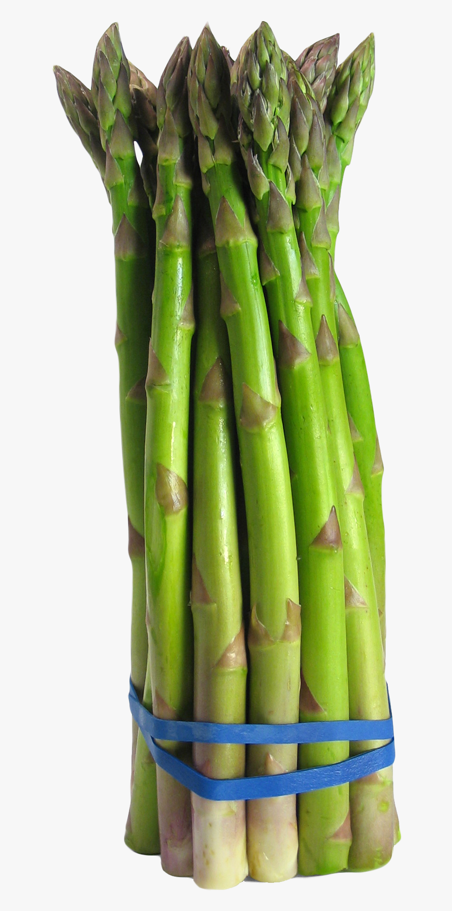 Asparagus Png Image, Transparent Clipart