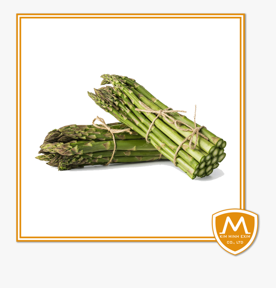 Transparent Asparagus Png - Asparagus, Transparent Clipart