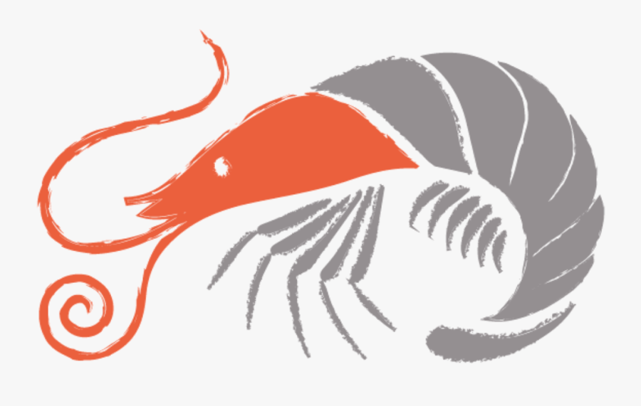 Prawns And Asparagus - Illustration, Transparent Clipart