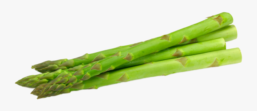 Transparent Asparagus Png - Bamboo Shoot, Transparent Clipart