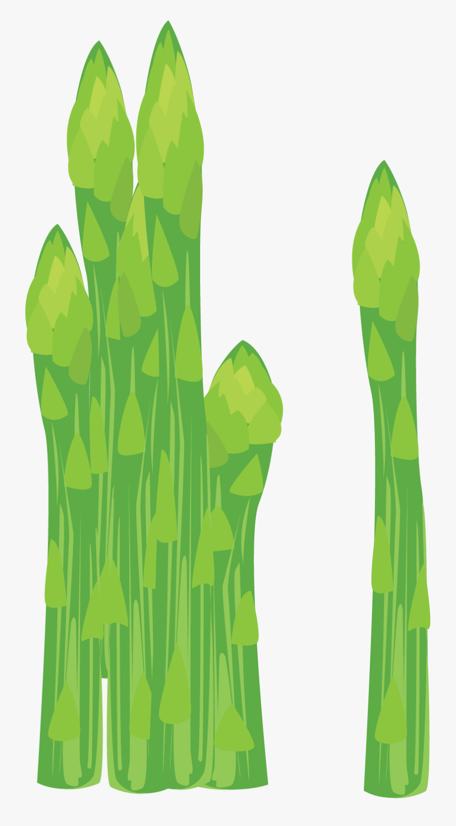 Illustration, Transparent Clipart