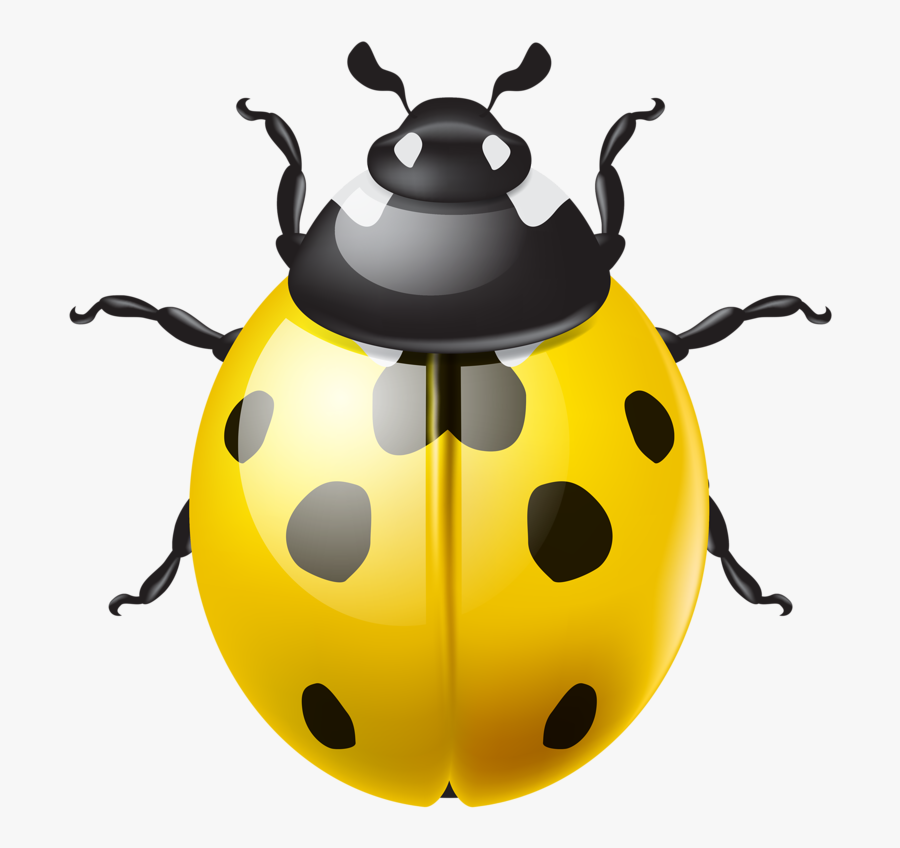 Yellow Ladybird Clipart, Transparent Clipart