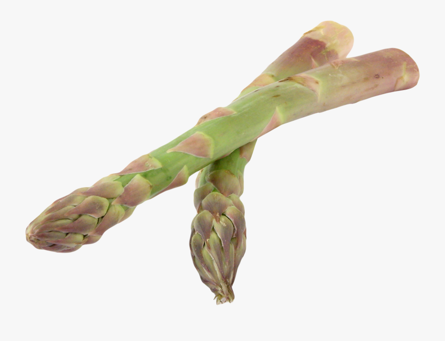 Asparagus Png Image, Transparent Clipart
