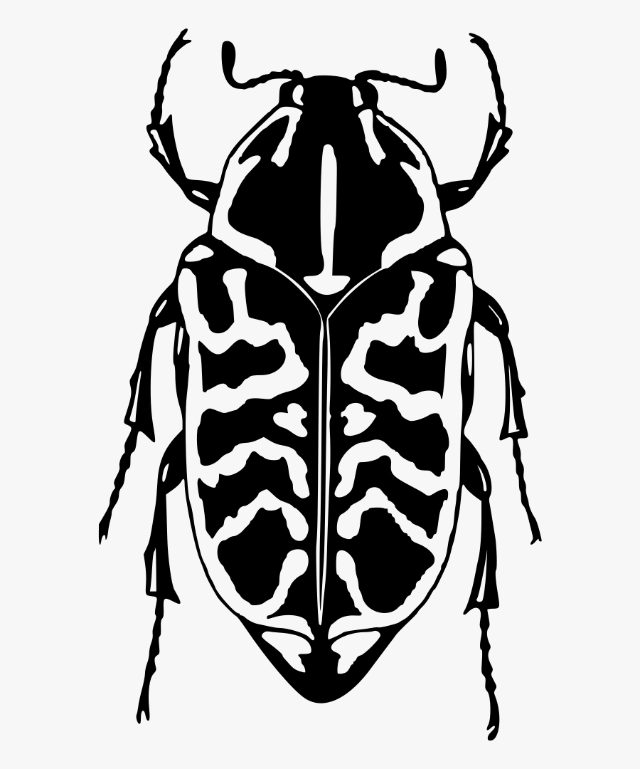 Beetle - Escarabajo Blanco Y Negro, Transparent Clipart